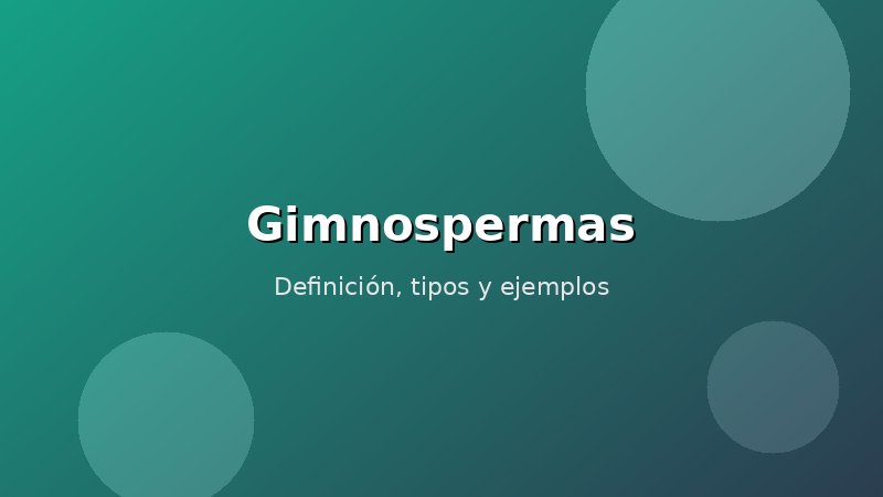 Imagen de Gimnospermas