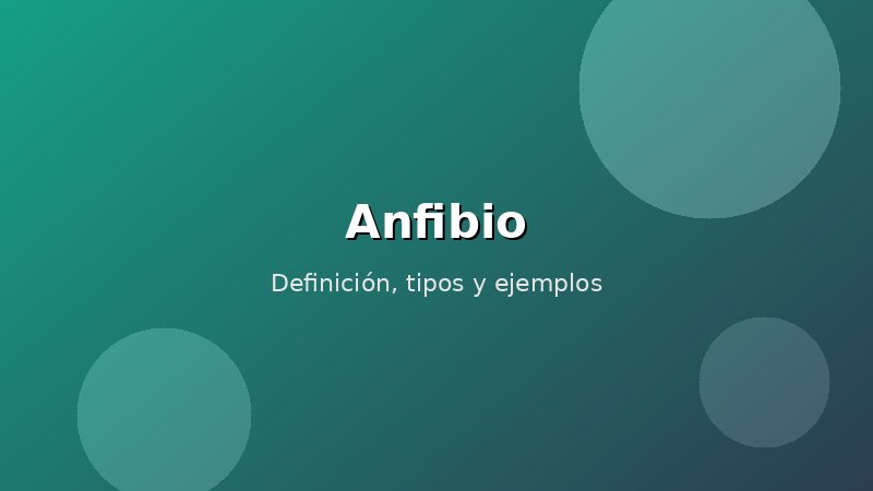 Imagen de Anfibio