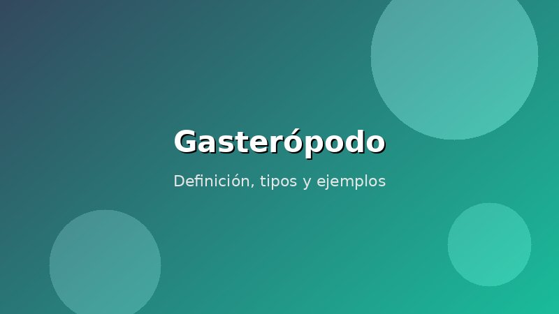 Imagen de Gasterópodo