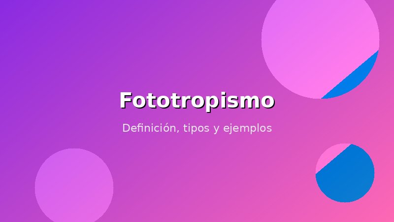 Imagen de Fototropismo