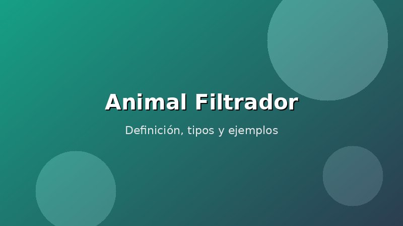 Imagen de Animal Filtrador