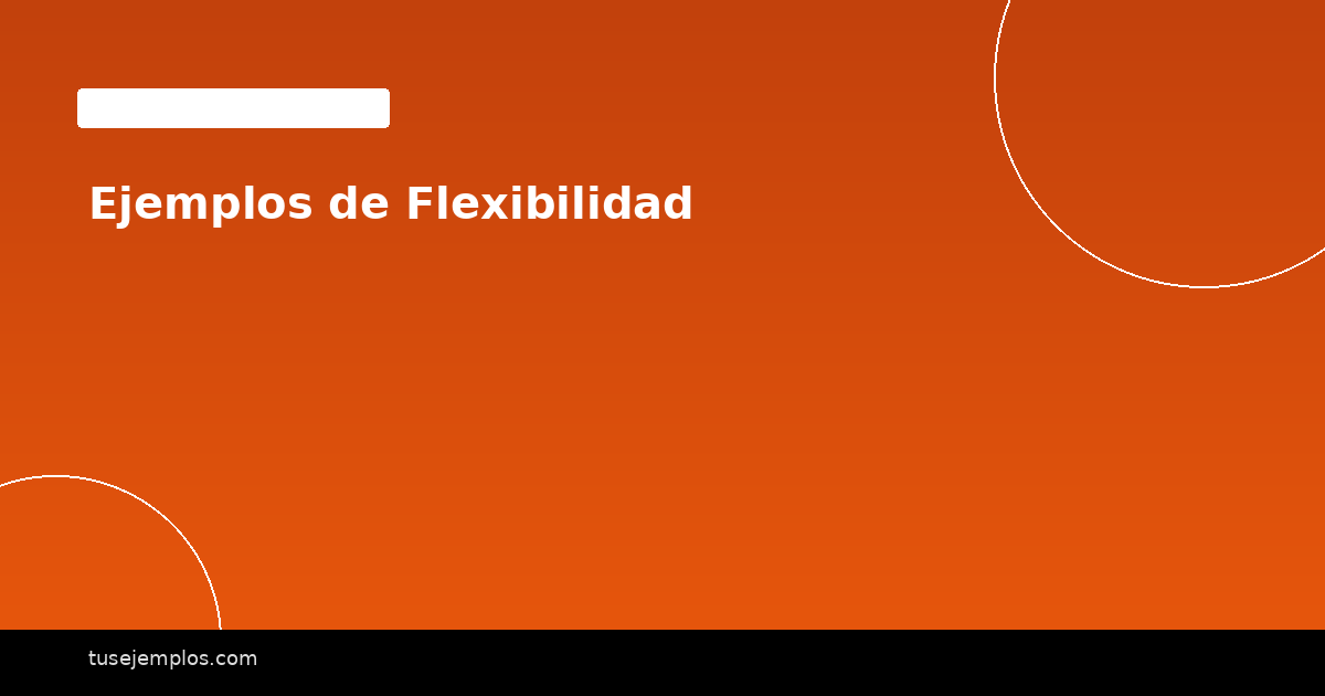 Ejemplos de Flexibilidad