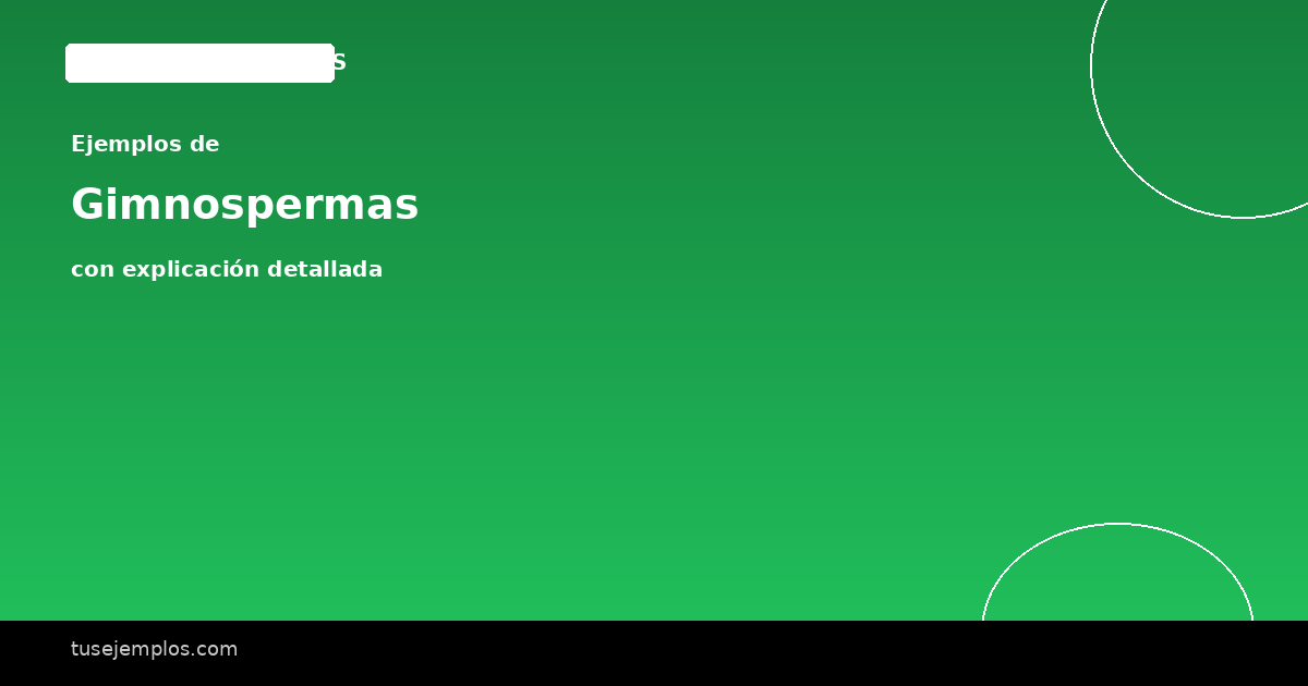 25 Ejemplos de Gimnospermas (con explicación sencilla)