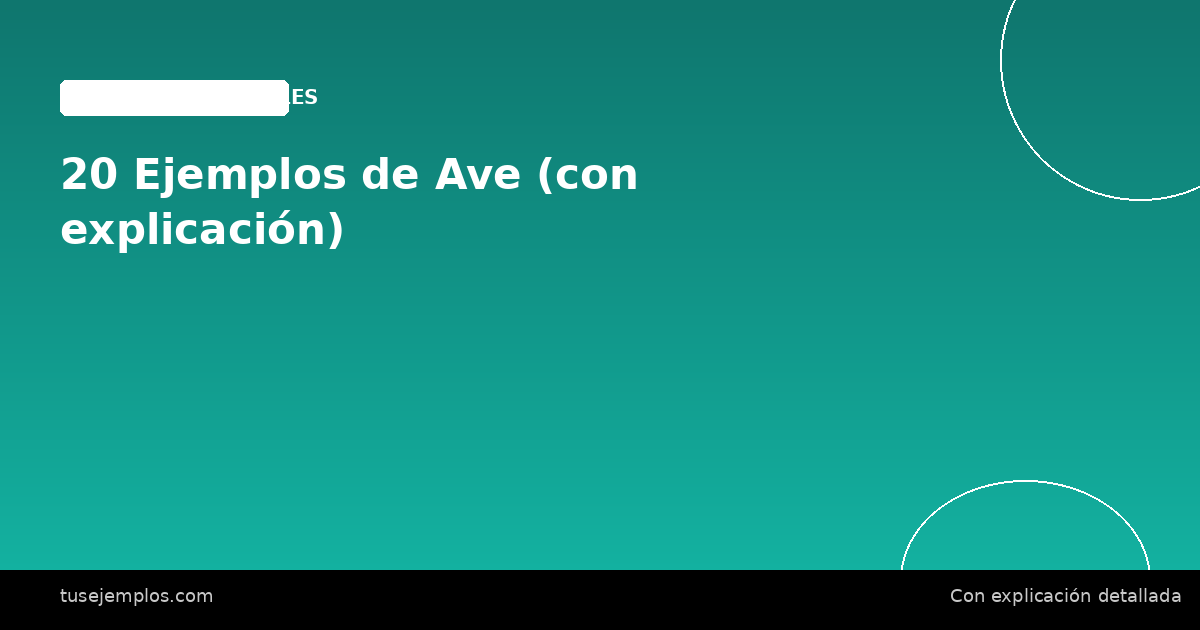 20 Ejemplos de Ave (con explicación)