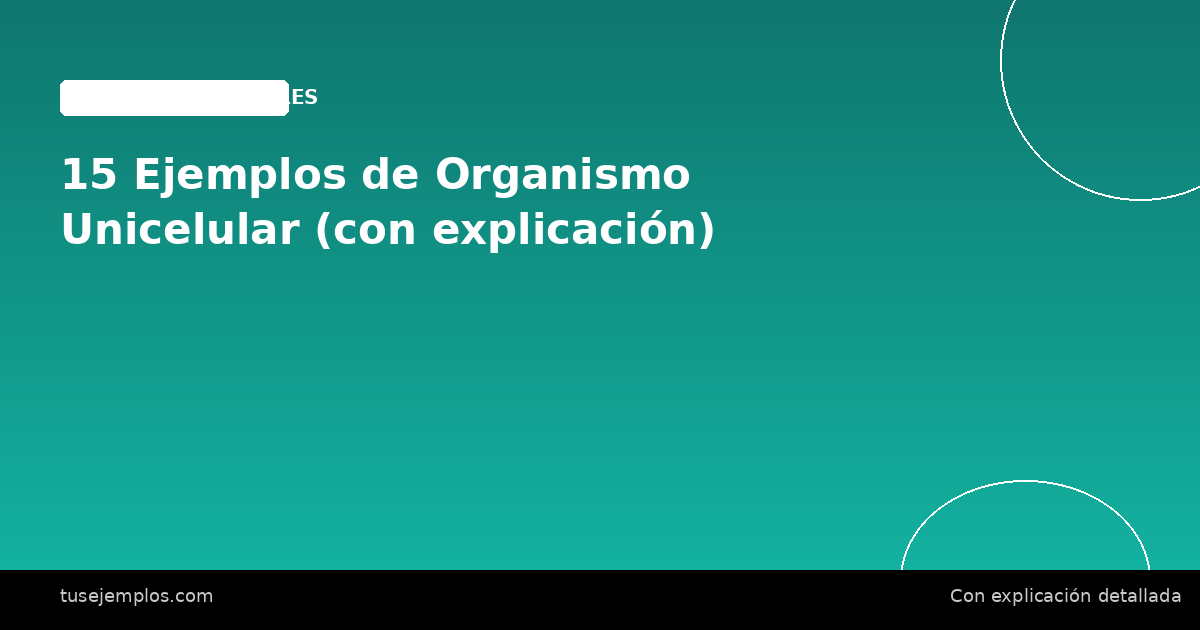 15 Ejemplos de Organismo Unicelular (con explicación)