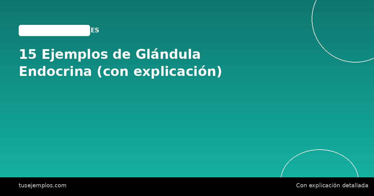 15 Ejemplos de Glándula Endocrina (con explicación)