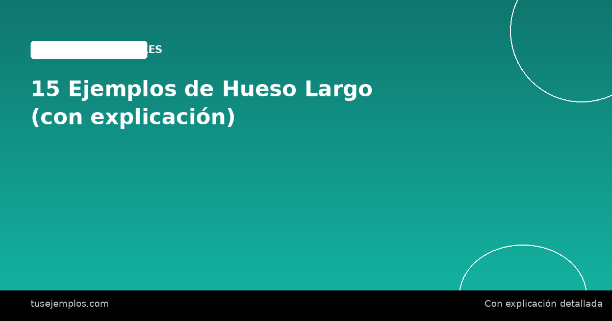 15 Ejemplos de Hueso Largo (con explicación)